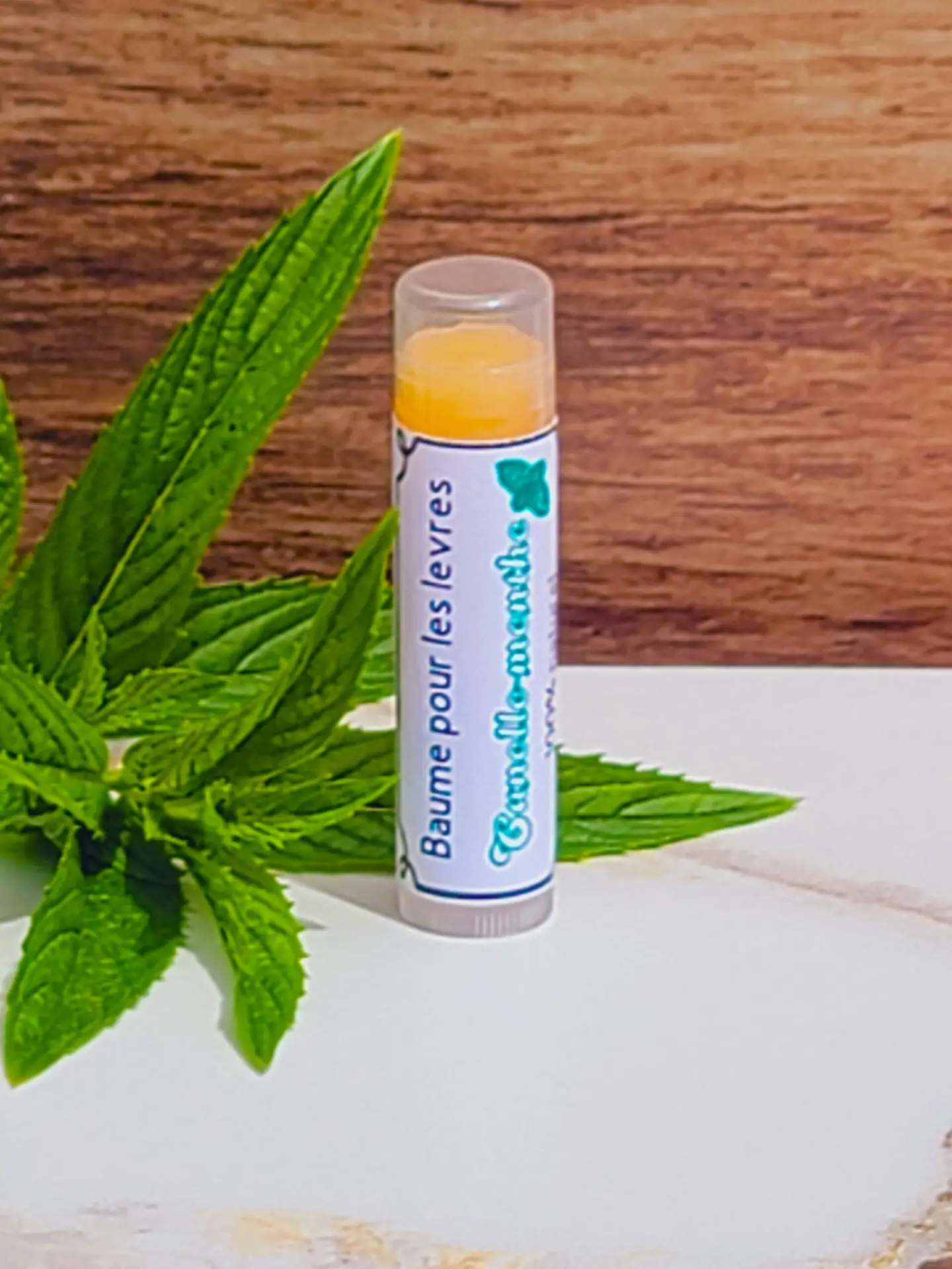 Baume à lèvres Cannelle Menthe Les Mels avec feuilles de menthe fraîches